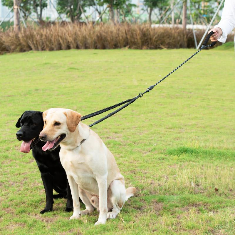 Iyoshop Dual Dog Leash, Double Dog Leash, 360 Swivel No Tangle Walking Leash, Shock Absorbing Bungee for Two Dogs